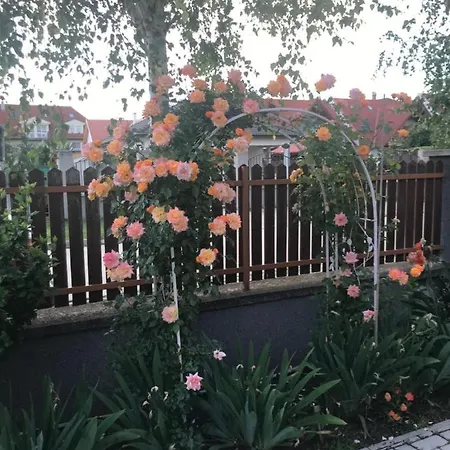 Magnolia Apartmanhaz Апартаменты *